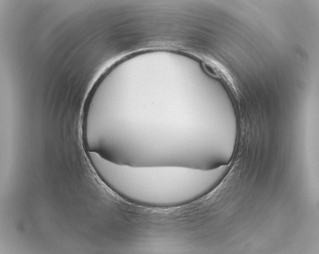 X0000115781288200912041444