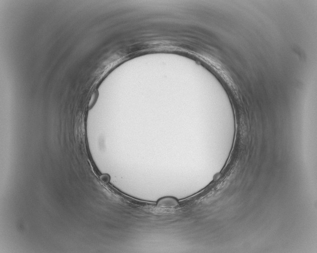 X0000115781289200912041444