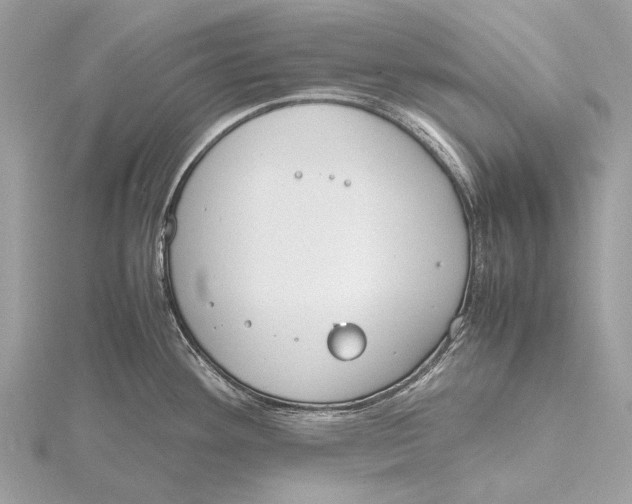 X0000115781292200912041444