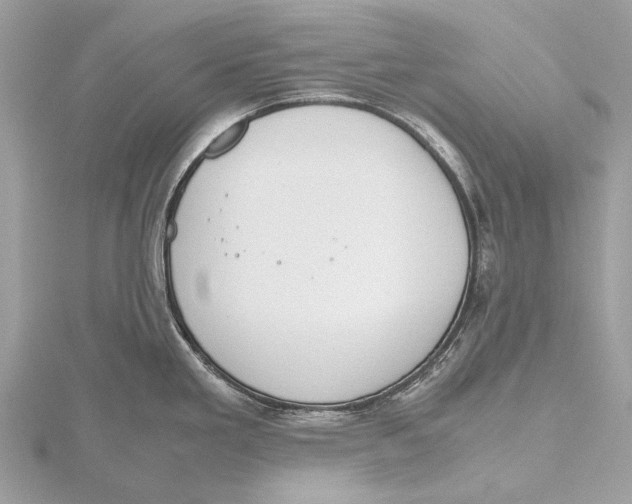 X0000115781293200912041444