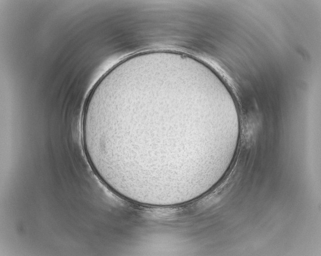 X0000115781294200912041444