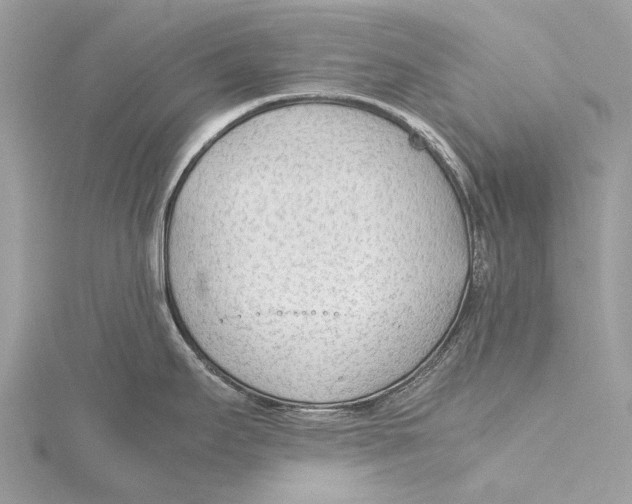 X0000115781295200912041444