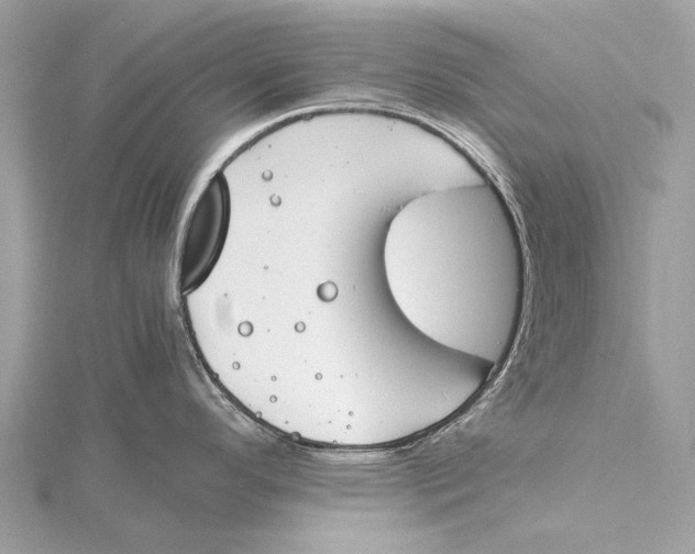 X0000115781296200912041444