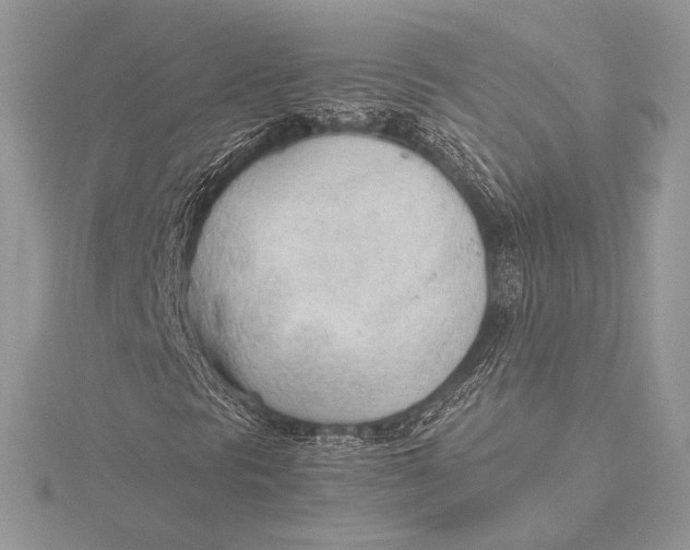 X0000115781297200912041443