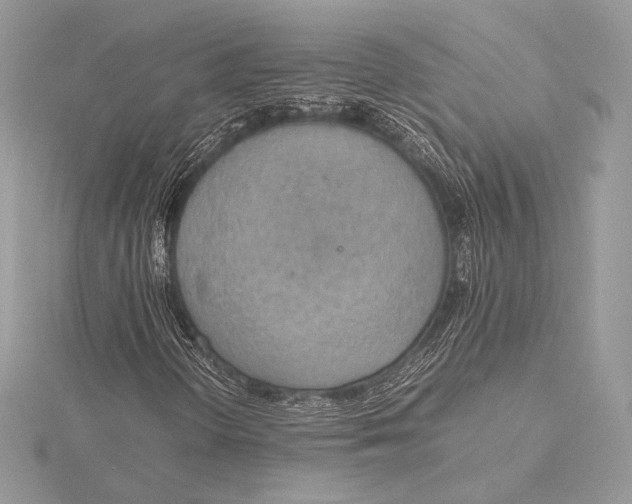 X0000115781298200912041443