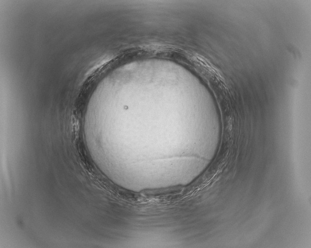 X0000115781302200912041443