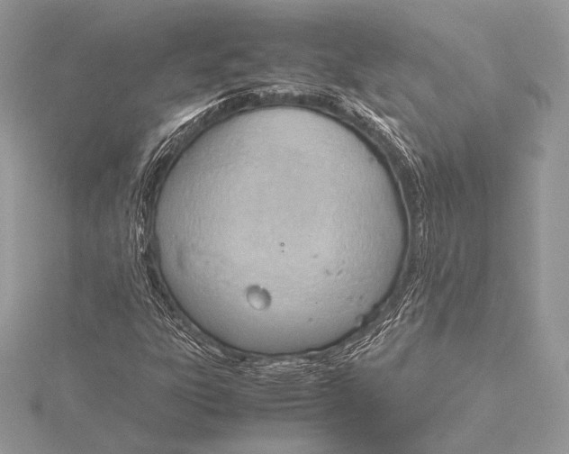 X0000115781303200912041443