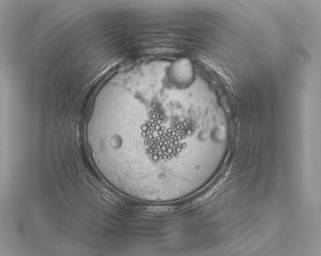 X0000115781305200912041443