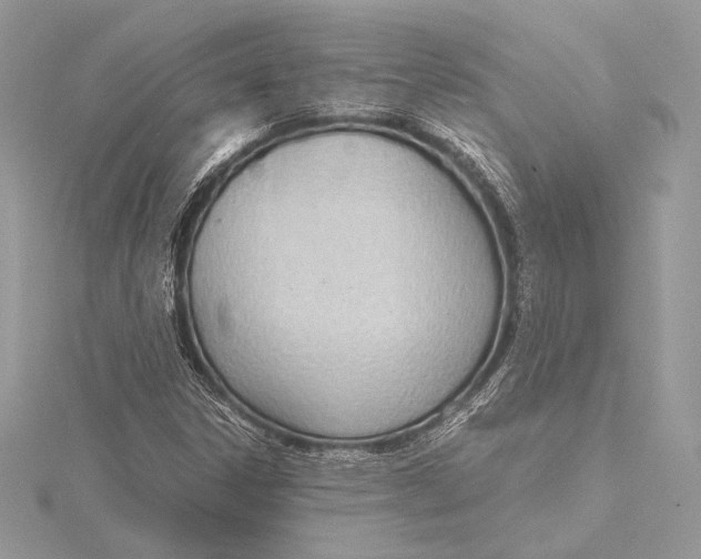 X0000115781306200912041443