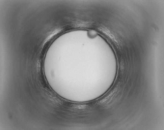 X0000115781309200912041443