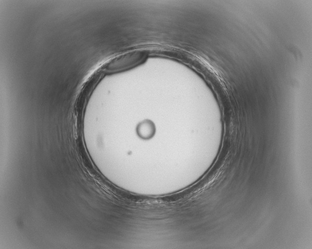 X0000115781310200912041443