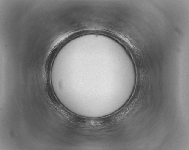 X0000115781311200912041443