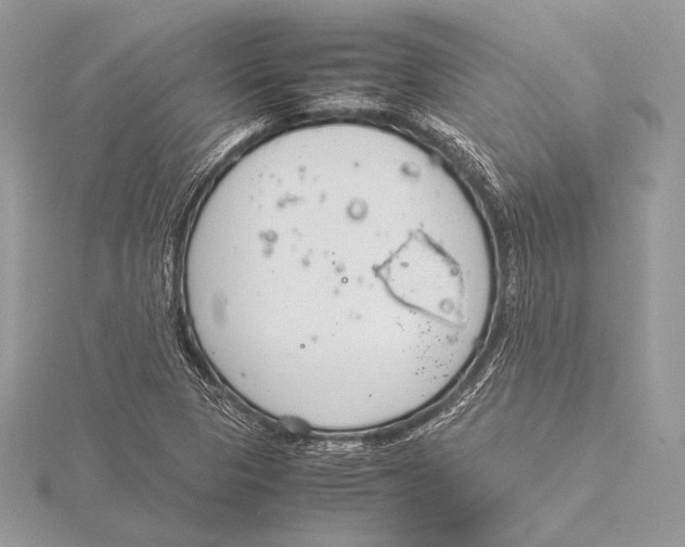 X0000115781313200912041443