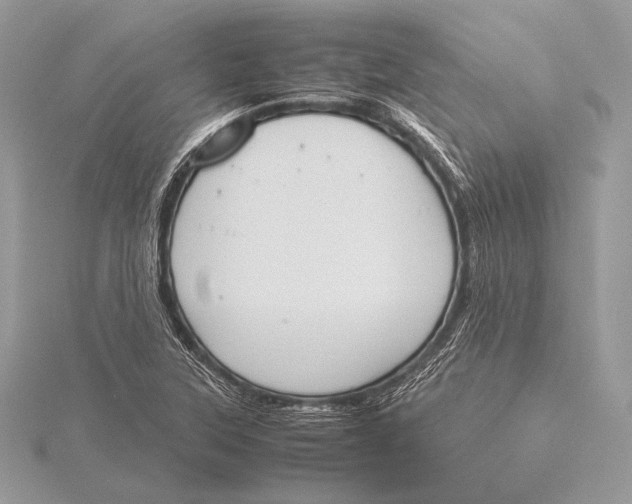 X0000115781315200912041443