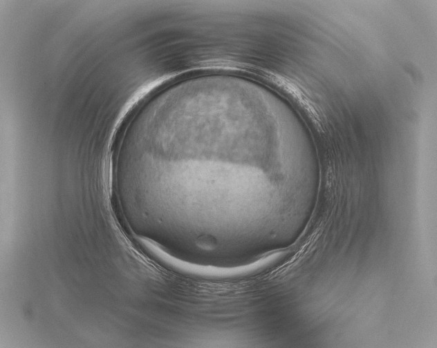 X0000115781323200912041443