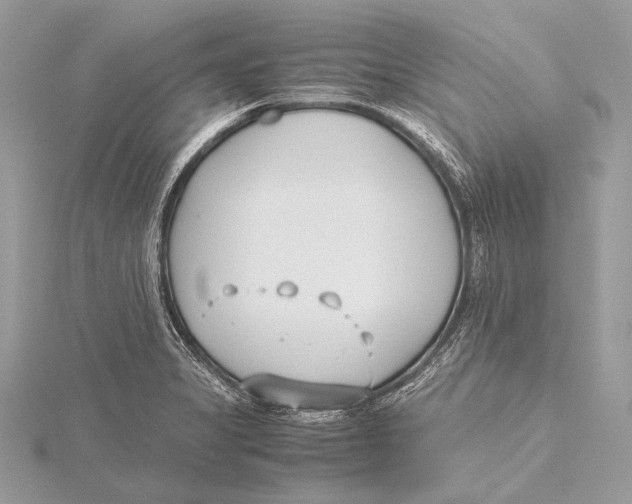 X0000115781325200912041443