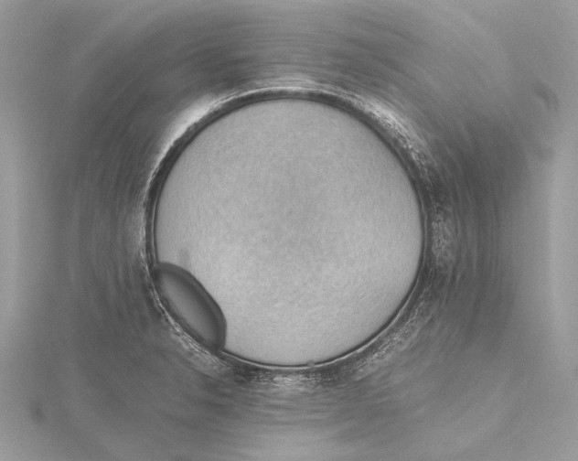 X0000115781326200912041443