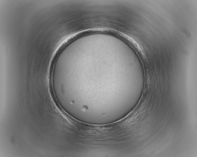 X0000115781327200912041443