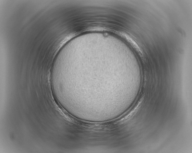 X0000115781329200912041443