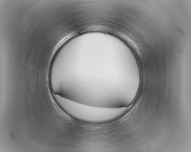 X0000115781330200912041443