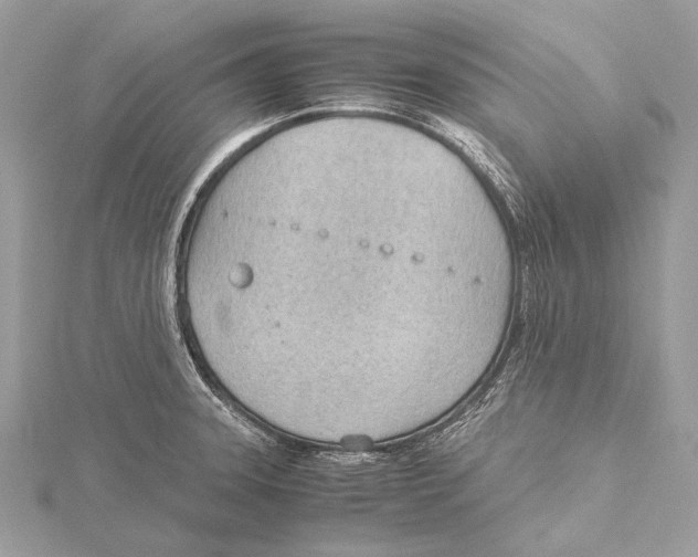 X0000115781331200912041444