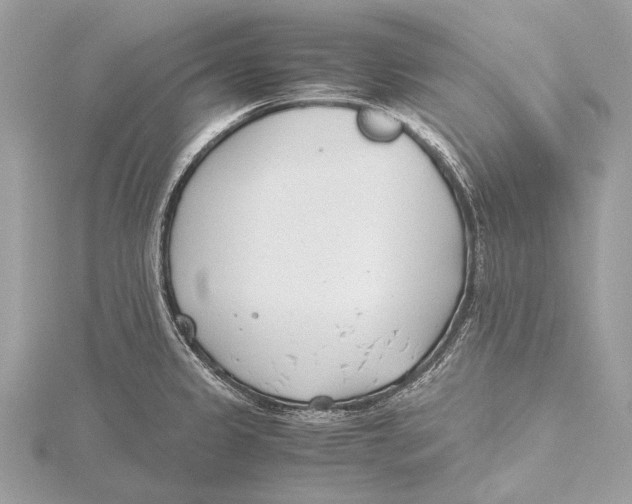 X0000115781333200912041444