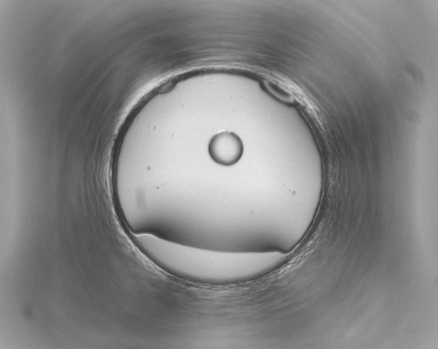 X0000115781334200912041444