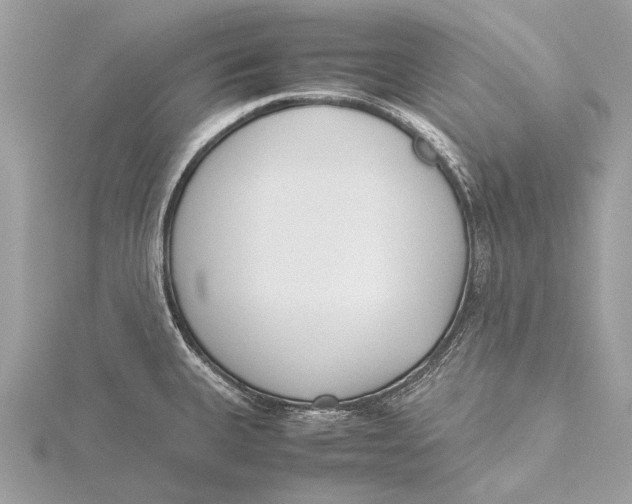 X0000115781335200912041444