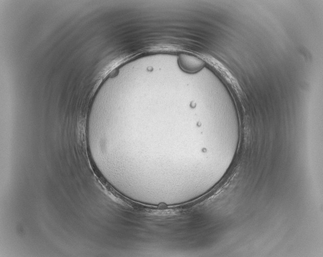 X0000115781337200912041444