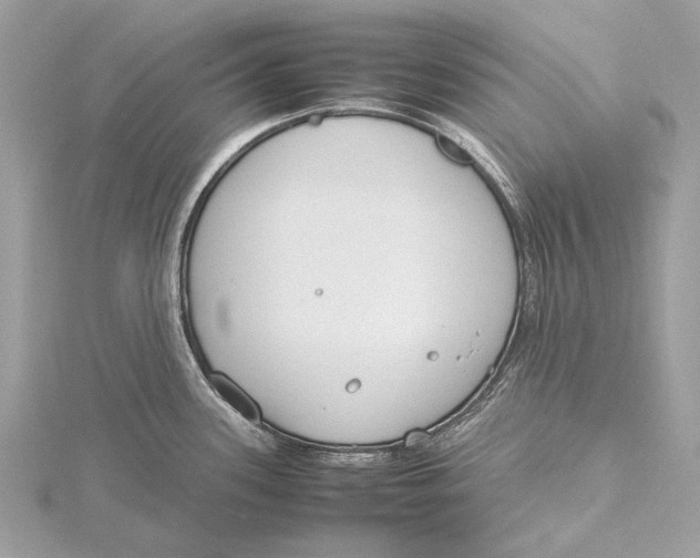 X0000115781339200912041444