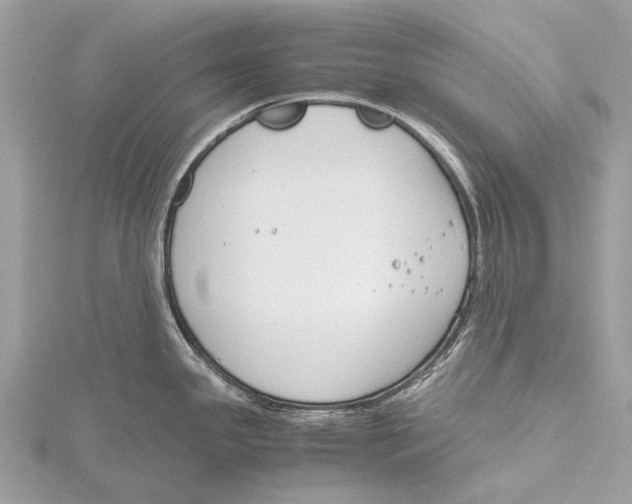 X0000115781341200912041444