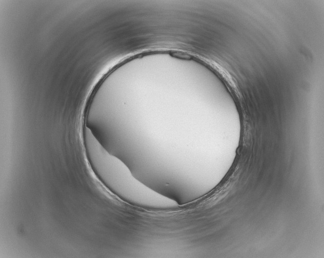 X0000115781342200912041444