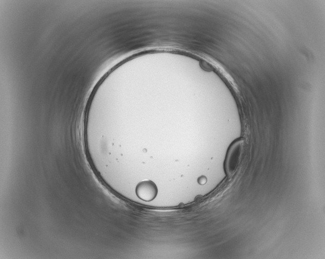 X0000115781343200912041444