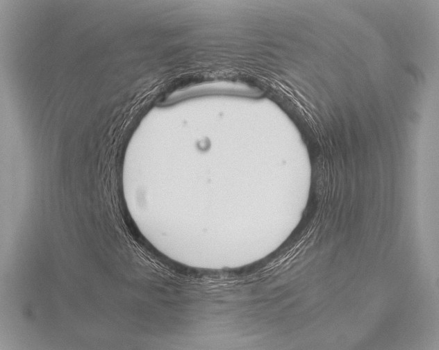 X0000115781345200912041443