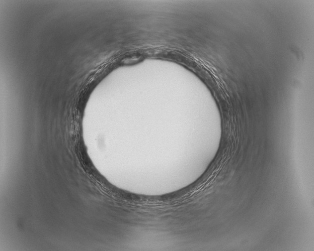 X0000115781349200912041443