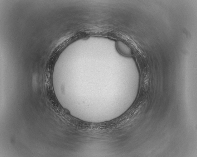 X0000115781350200912041443