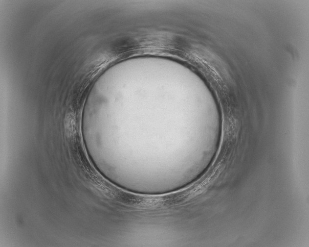 X0000115781353200912041443