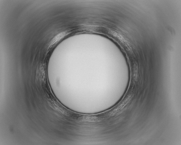 X0000115781354200912041443