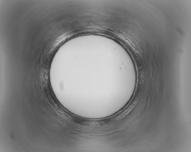 X0000115781355200912041443