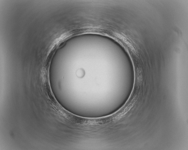 X0000115781357200912041443