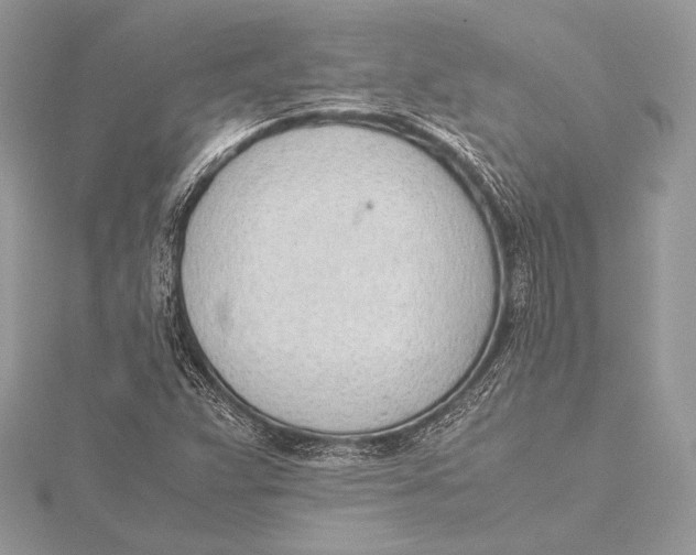 X0000115781359200912041443