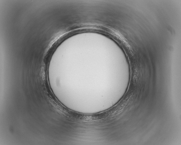 X0000115781360200912041443