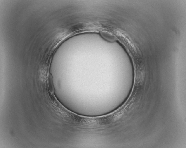 X0000115781361200912041443