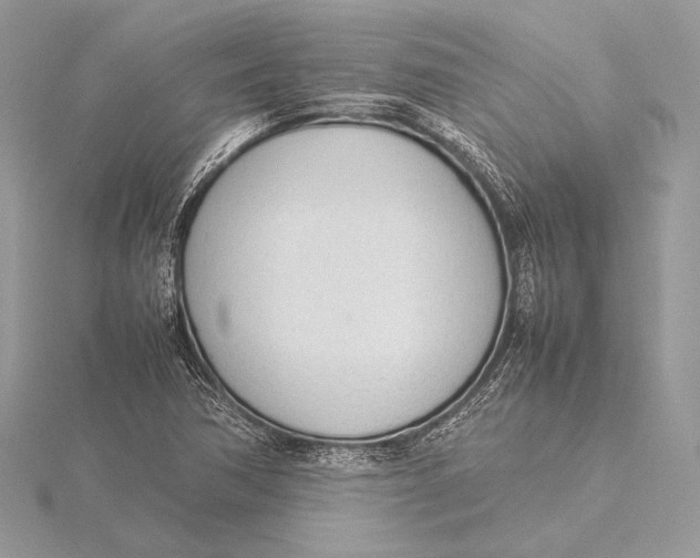 X0000115781362200912041443