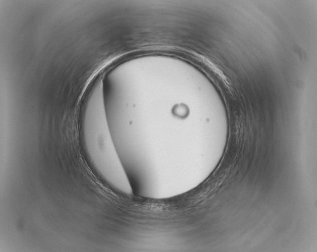 X0000115781364200912041443