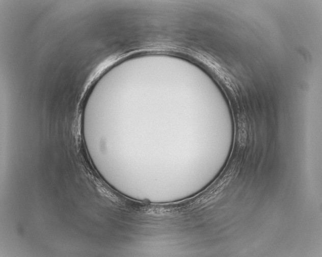 X0000115781366200912041443