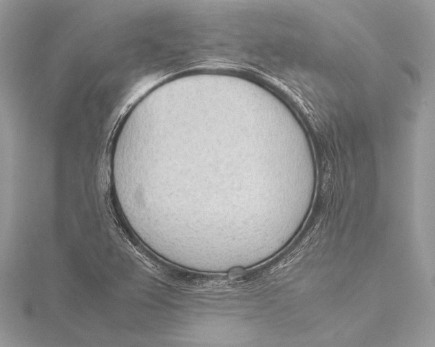 X0000115781367200912041443