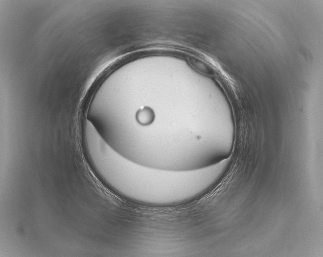 X0000115781368200912041443