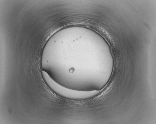 X0000115781369200912041443