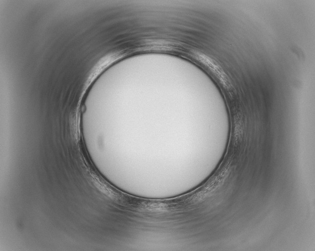 X0000115781370200912041443